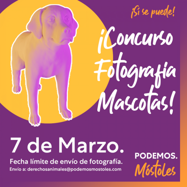 ConcursoFotografiaPerrunav3-675×675