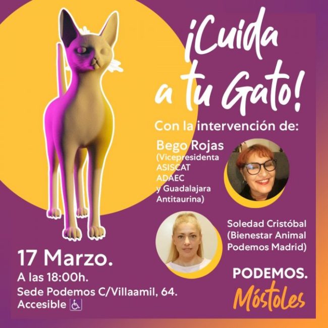 Cuida-a-tu-gato-675×675